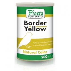 Border Yellow 200gr (Colorante Natural)